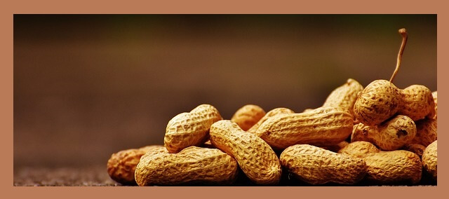 생땅콩-껍질채-쌓여있는-모습