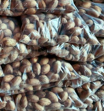 고흥석류피칸농장 피칸