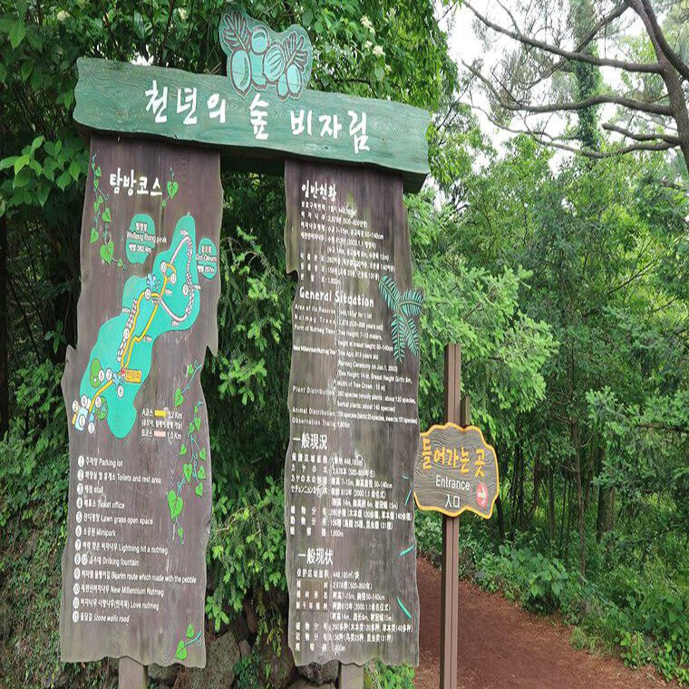비자림-입구