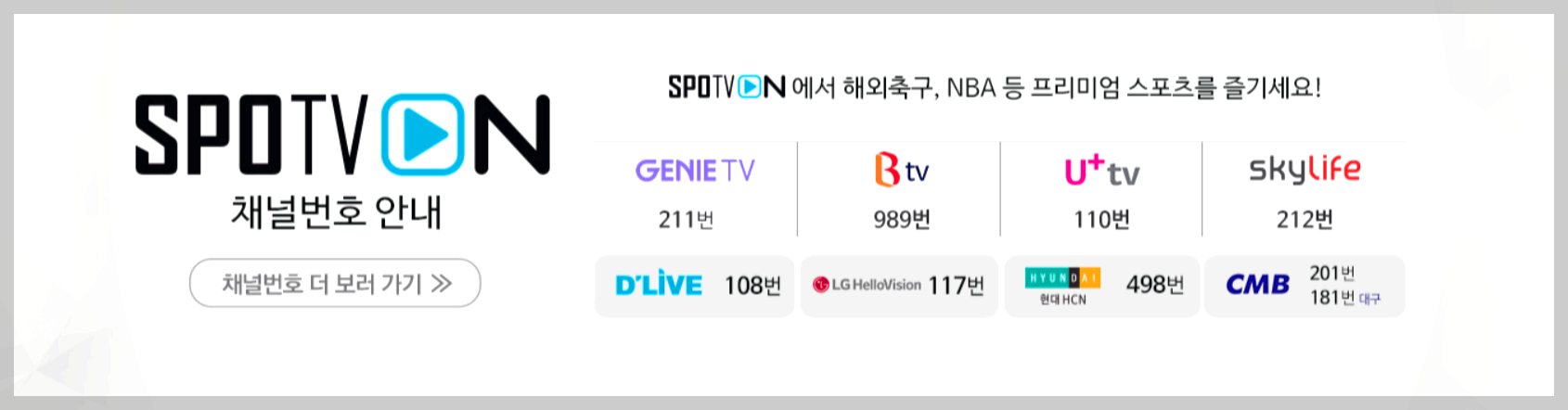 스포츠 중계채널