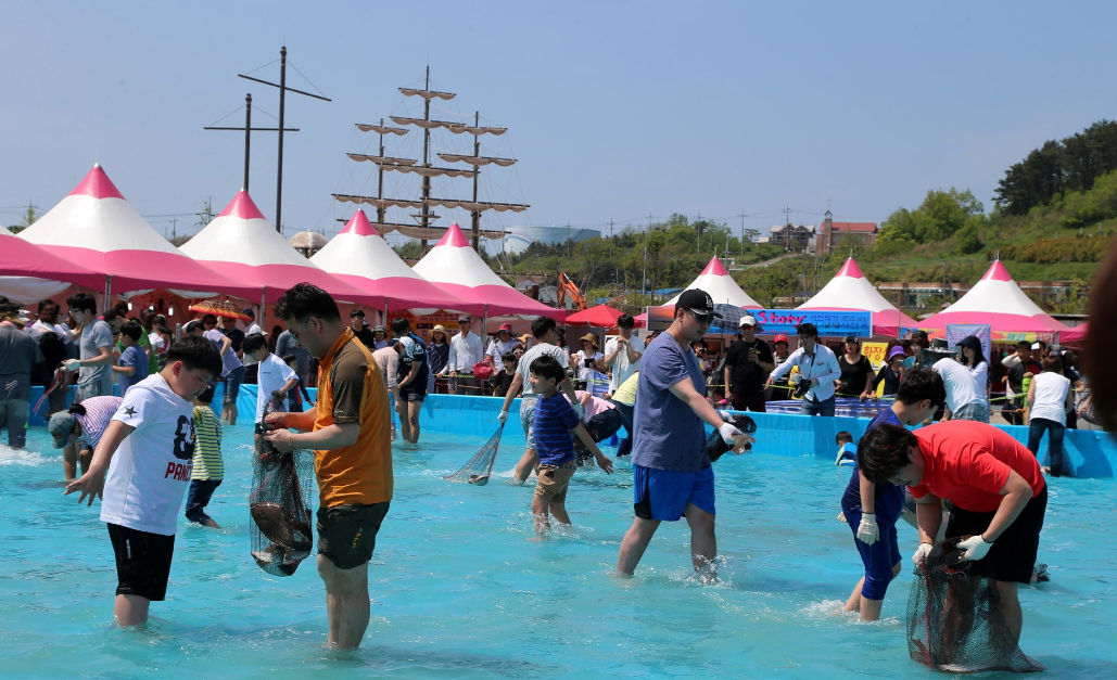 서천 자연산 광어 도미 축제 관련 사진