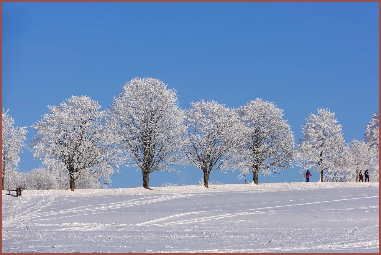 정기예금 이율높은곳