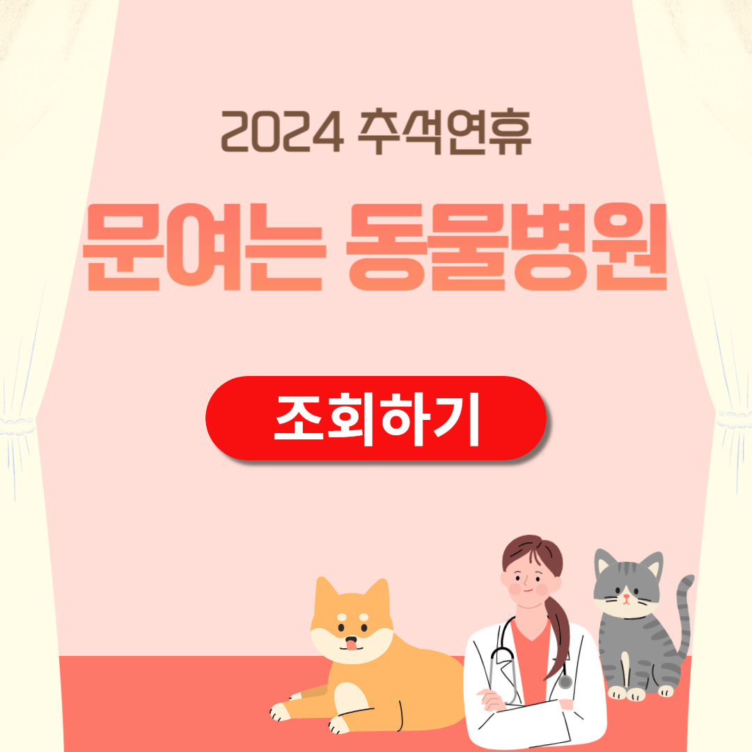 2024 추석 동물병원 24시 동물병원 조회하기