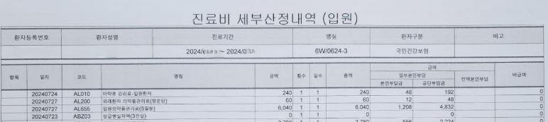 진료비 세부내역서(입원)