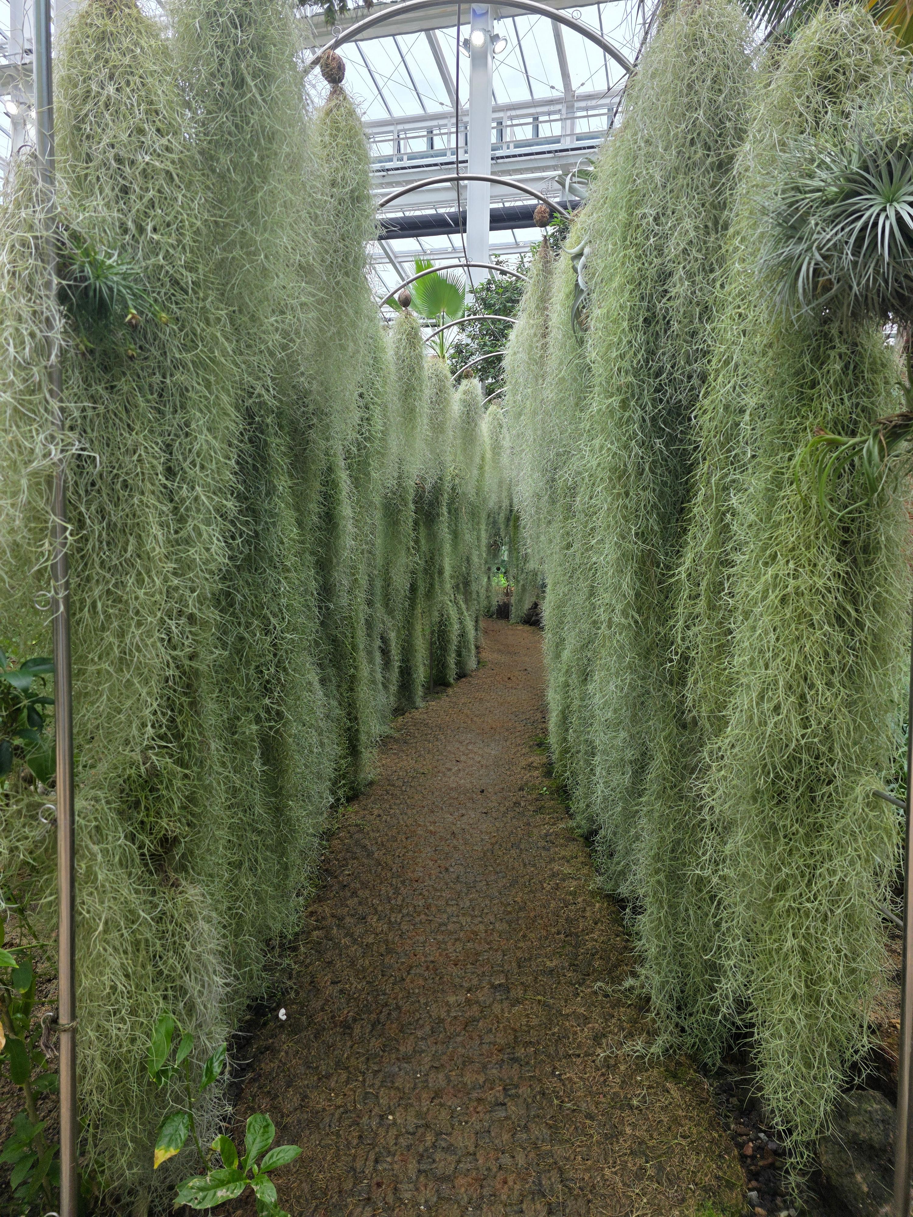 제천 아열대 스마트 온실 코코넛길