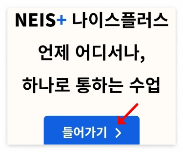나이스 플러스