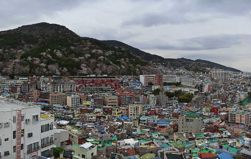부산지역불균형