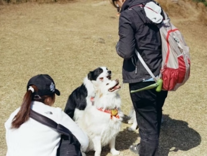 양평 용문산 산나물 축제