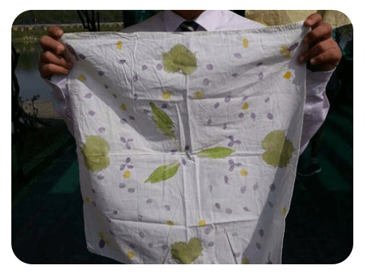 세미원 연꽃축제