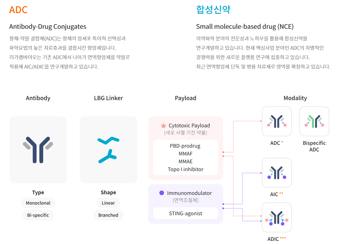 ADC신약