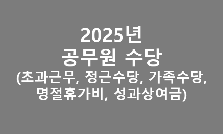 2025년 공무원 각종수당