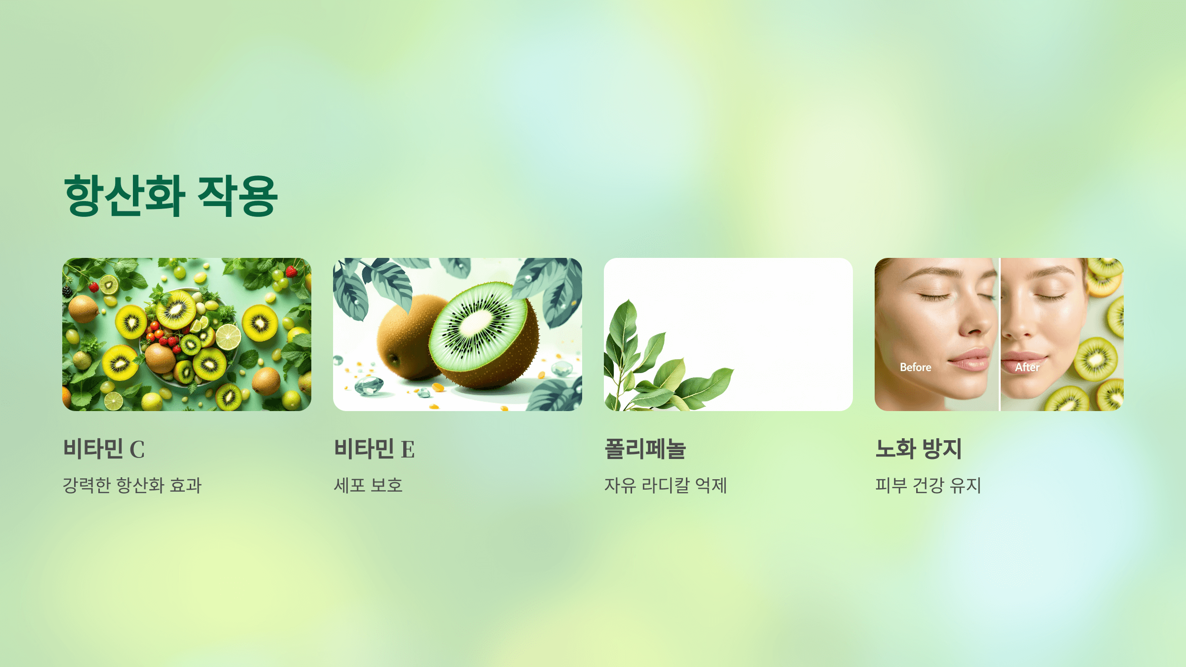 키위 사진입니다.