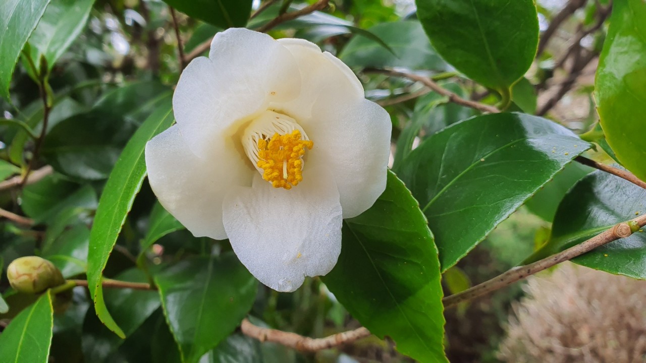 한국기행 거제 지심도 민박 펜션