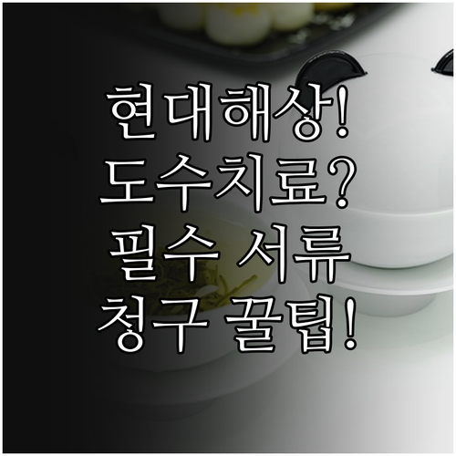 2025년 현대해상 도수치료 실손보험..