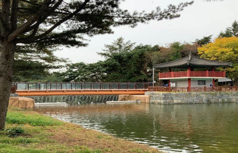 제천시 경제활력지원금 20만원 신청방법