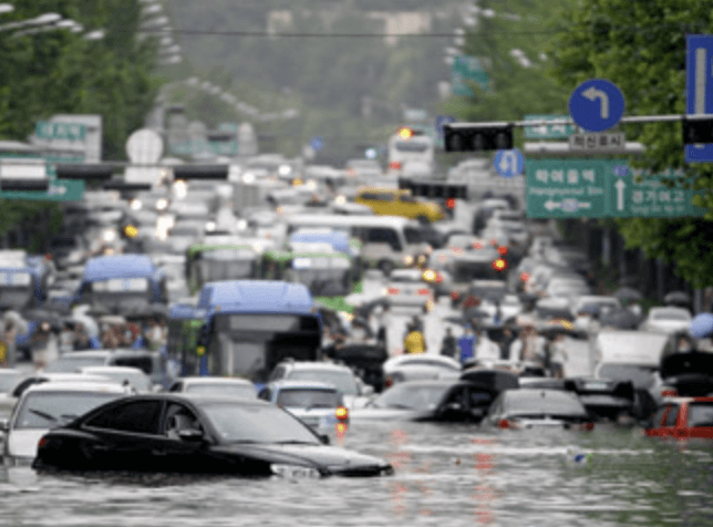 호우 피해 특별교부세