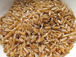 과다섭취를 주의해야 한다.