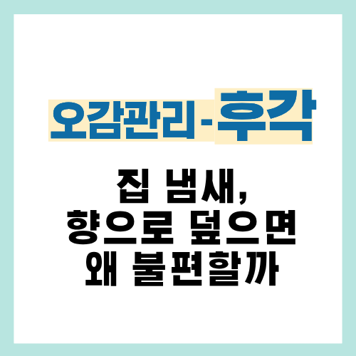 2편. 집 냄새를 향으로 덮으면 더 불편해지는 이유