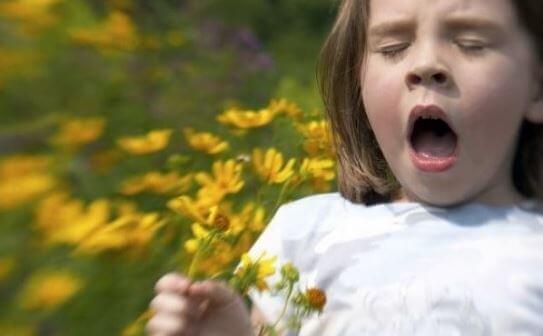 꽃가루 알레르기 증상 치료 예방법