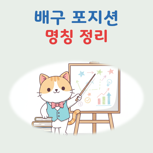 배구 포지션 명칭 정리 대표 이미지