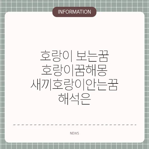 호랑이 보는꿈 호랑이꿈해몽 새끼호랑이안는꿈 해석은