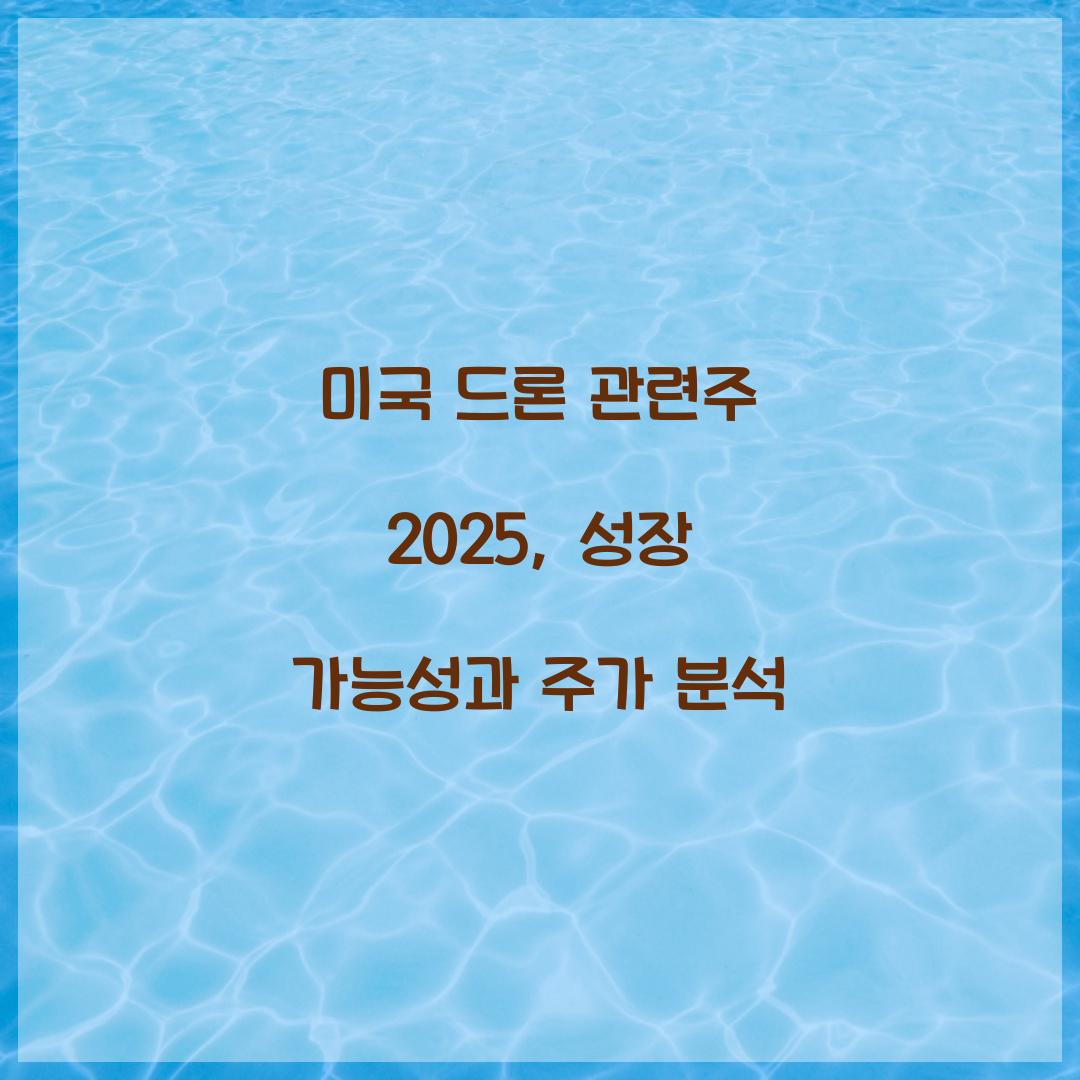 미국 드론 관련주 2025