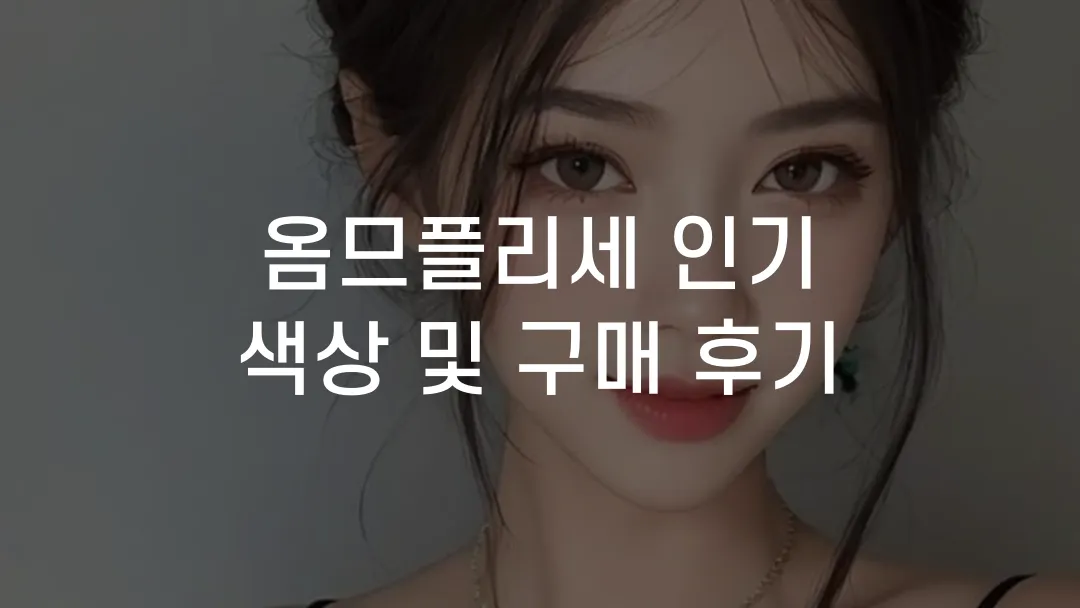 옴므플리세 인기 색상 및 구매 후기