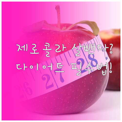 효과적인 다이어트를 위한 제로콜라 똑..