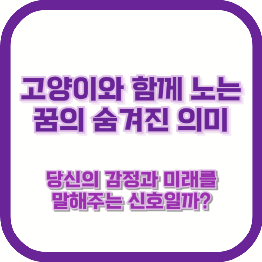 고양이와 함께 노는 꿈의 숨겨진 의미: 당신의 감정과 미래를 말해주는 신호일까?