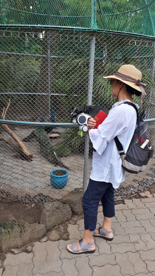 공작우리 앞에서