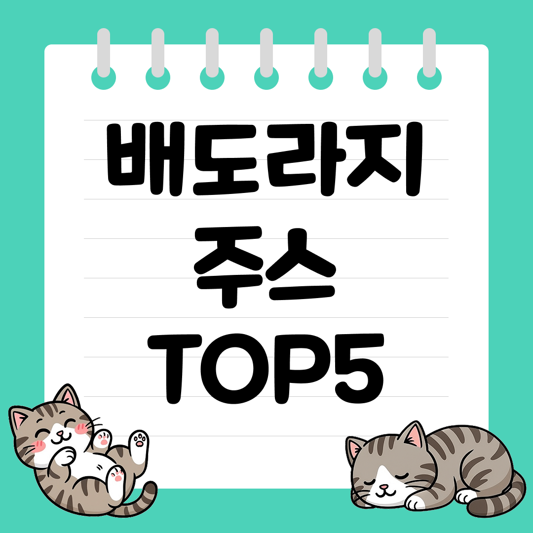 환절기 온 가족이 마시기 좋은 배도라지 주스 추천 순위 TOP5