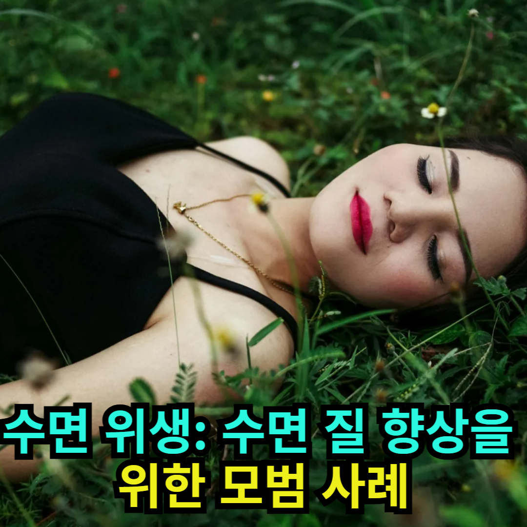 수면 위생 수면 질 향상을 위한 모범 사례