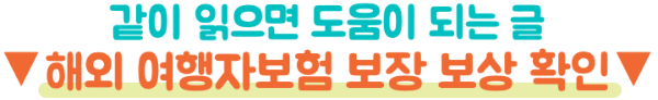 캐리어-파손-여행자보험-보상-항공사-확인서-수리불가-서류