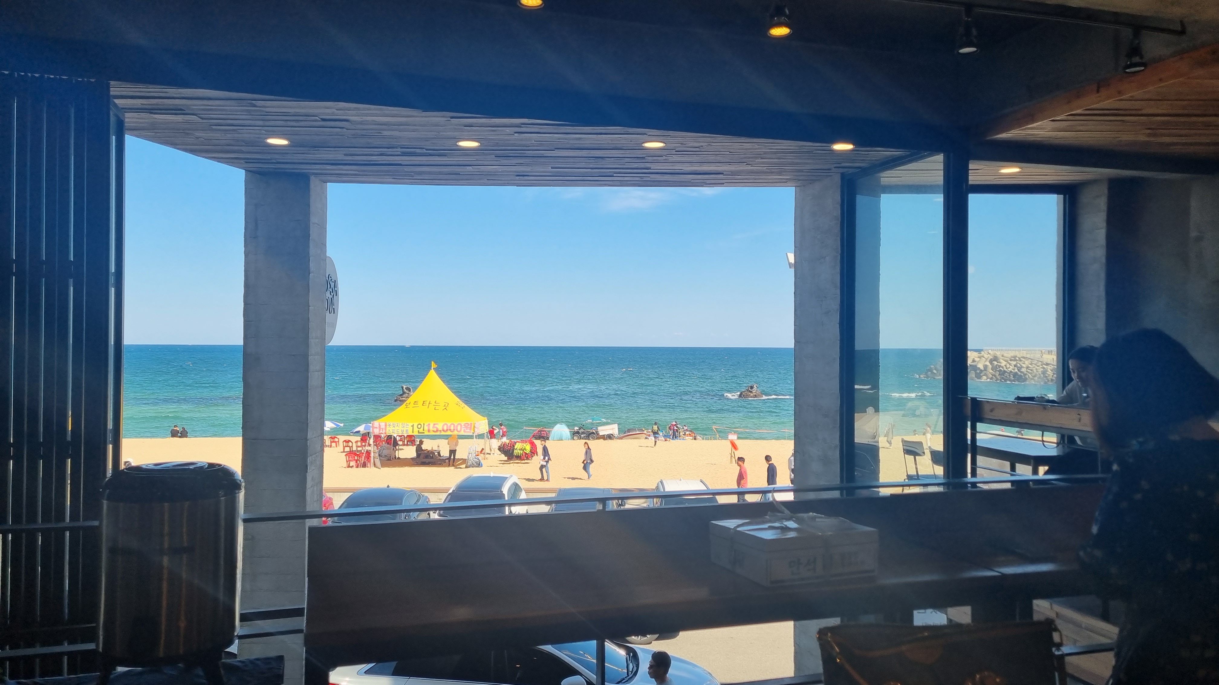 강릉 보사노바 - 카페 거리 카페 추천 애견 카페 안목 해변 가을 여행