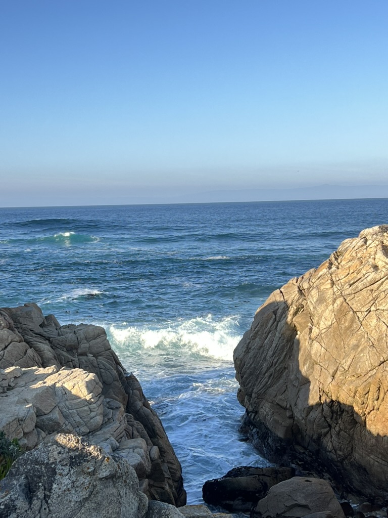 Point Joe
