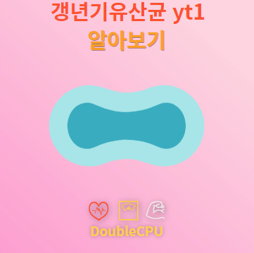 갱년기유산균 yt1