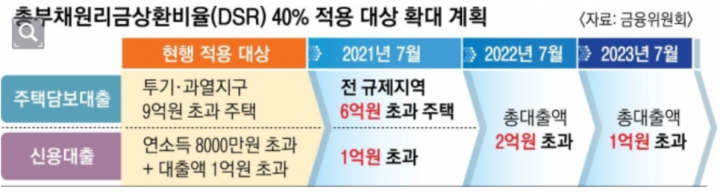 DSR 적용 계획