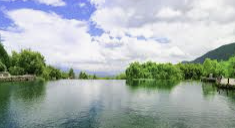 ENFJ 유형 특징 분석