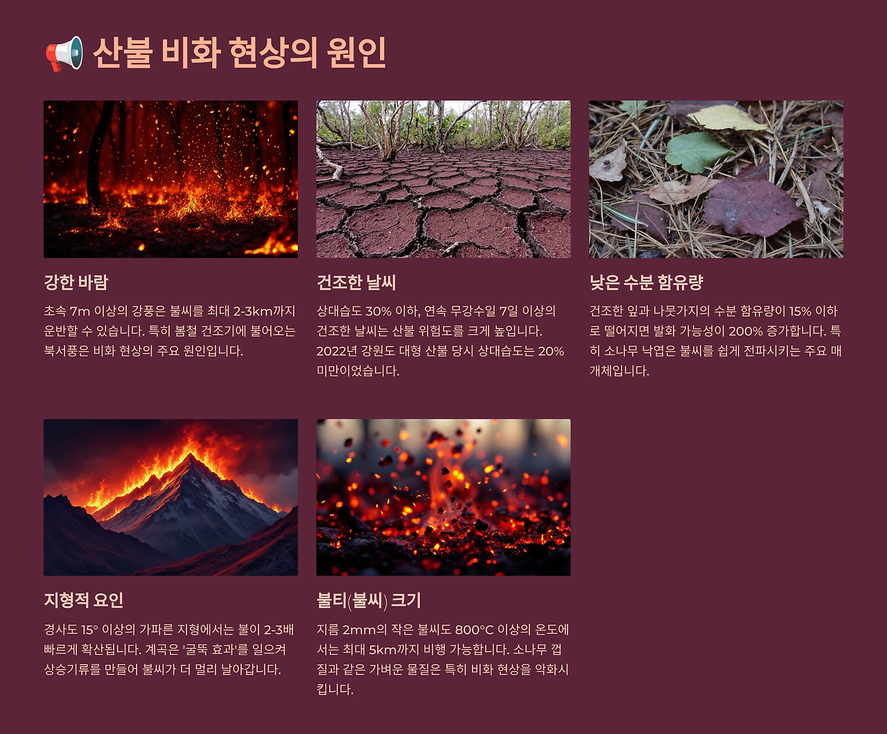 산불비화현상의 원인