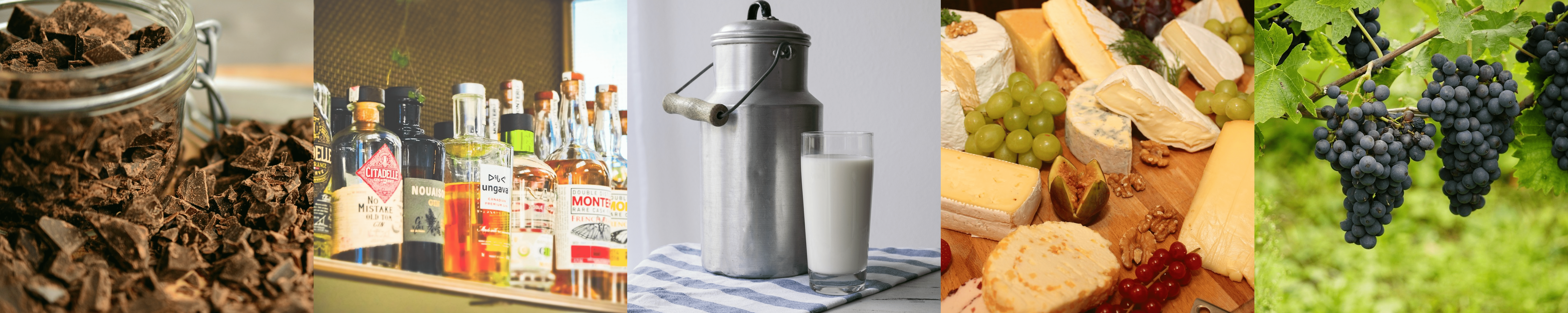 고양이가 먹으면 안되는 음식