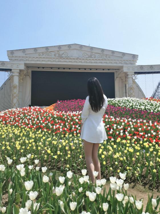 튤립밭에서-찍은-뒷모습