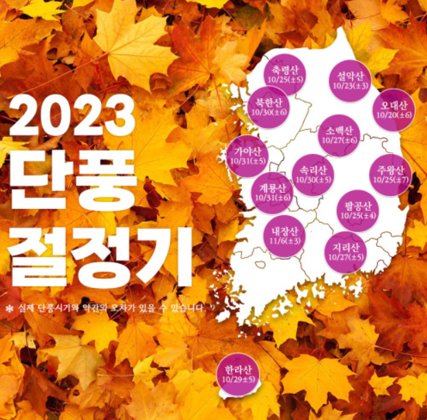 2023 단풍