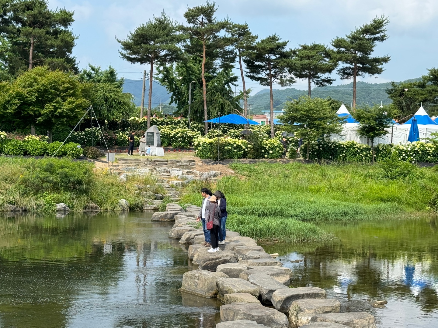 수국정원