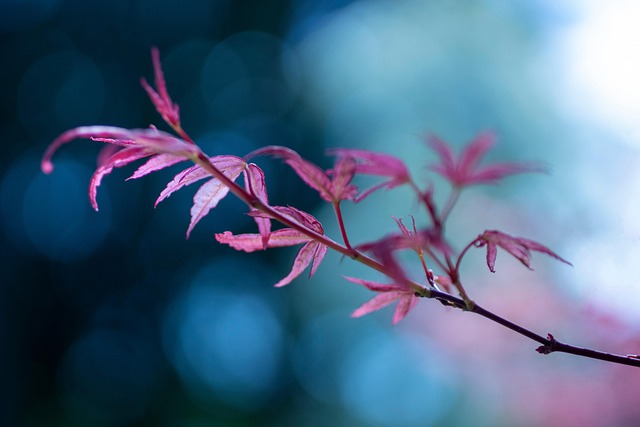 50대가 연금&middot;퇴직 후 가장 안정적으로 벌 수 있는 &lsquo;현실형 수익모델&rsquo; 12가지