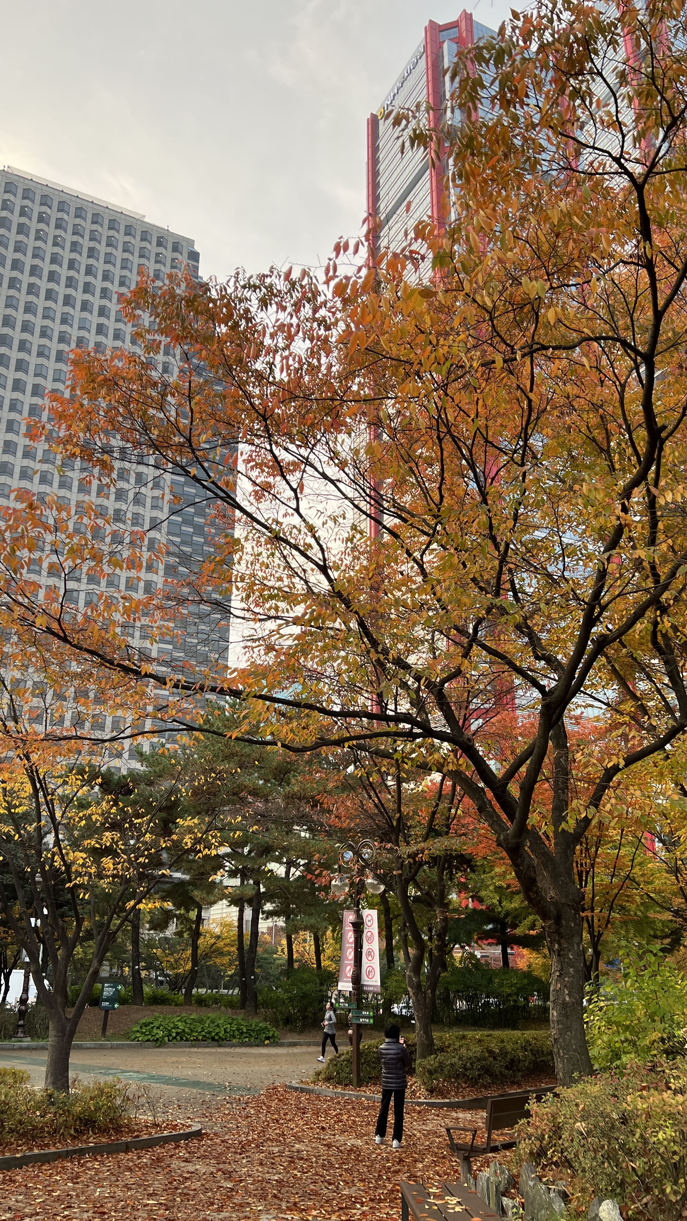 여의도 한강공원