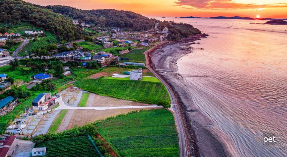 경기-인천-바다다캠핑장-예약-방법-애견-동반-가격-주소-시간-후기