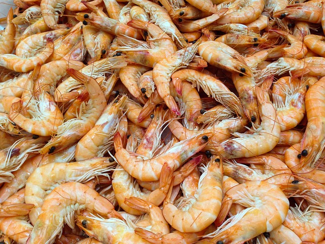 가을 제철해산물