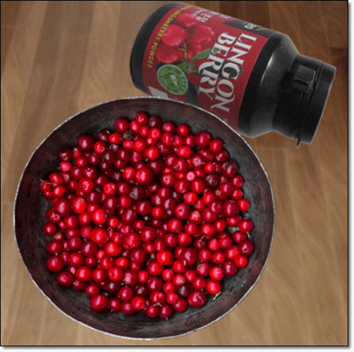 링곤베리와 분말