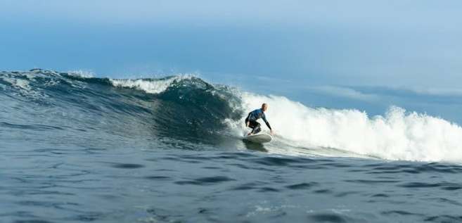 서핑 관련 사진