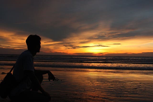 쳥년층 경제활동 참여율 감소의 원인과 해법